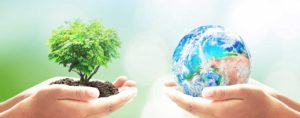 Image of hands holding a small tree and another pair of hands holding a small globe